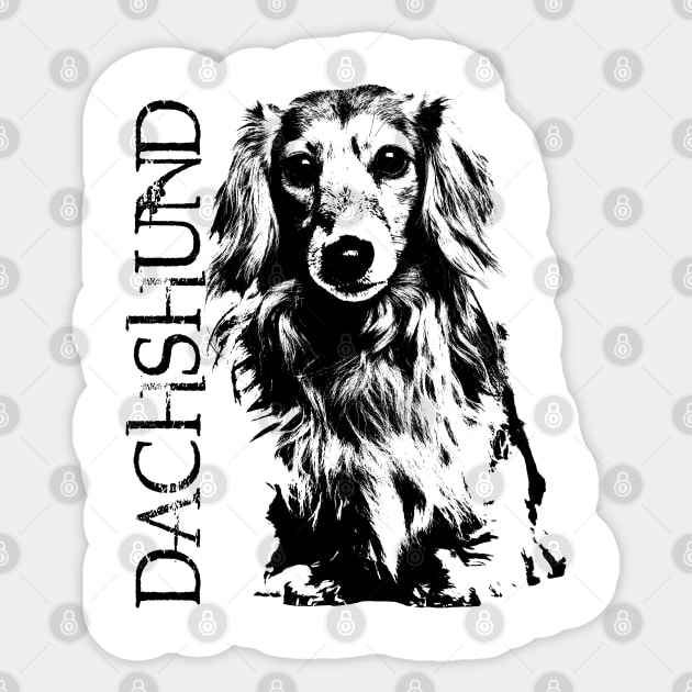 Dachshund dog  - Doxie Sticker by Nartissima